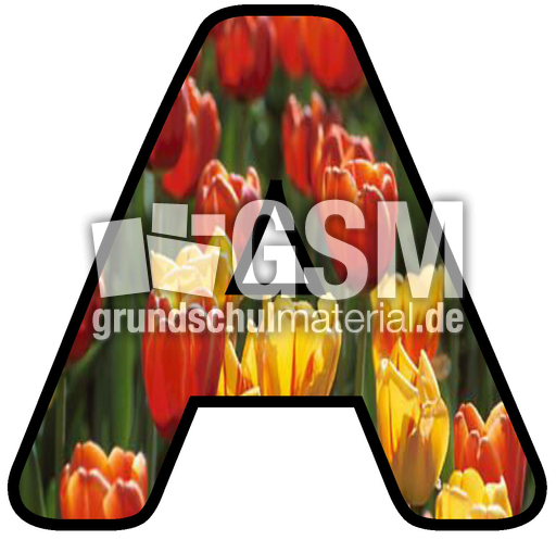 Dekobuchstaben-Tulpe_A.jpg